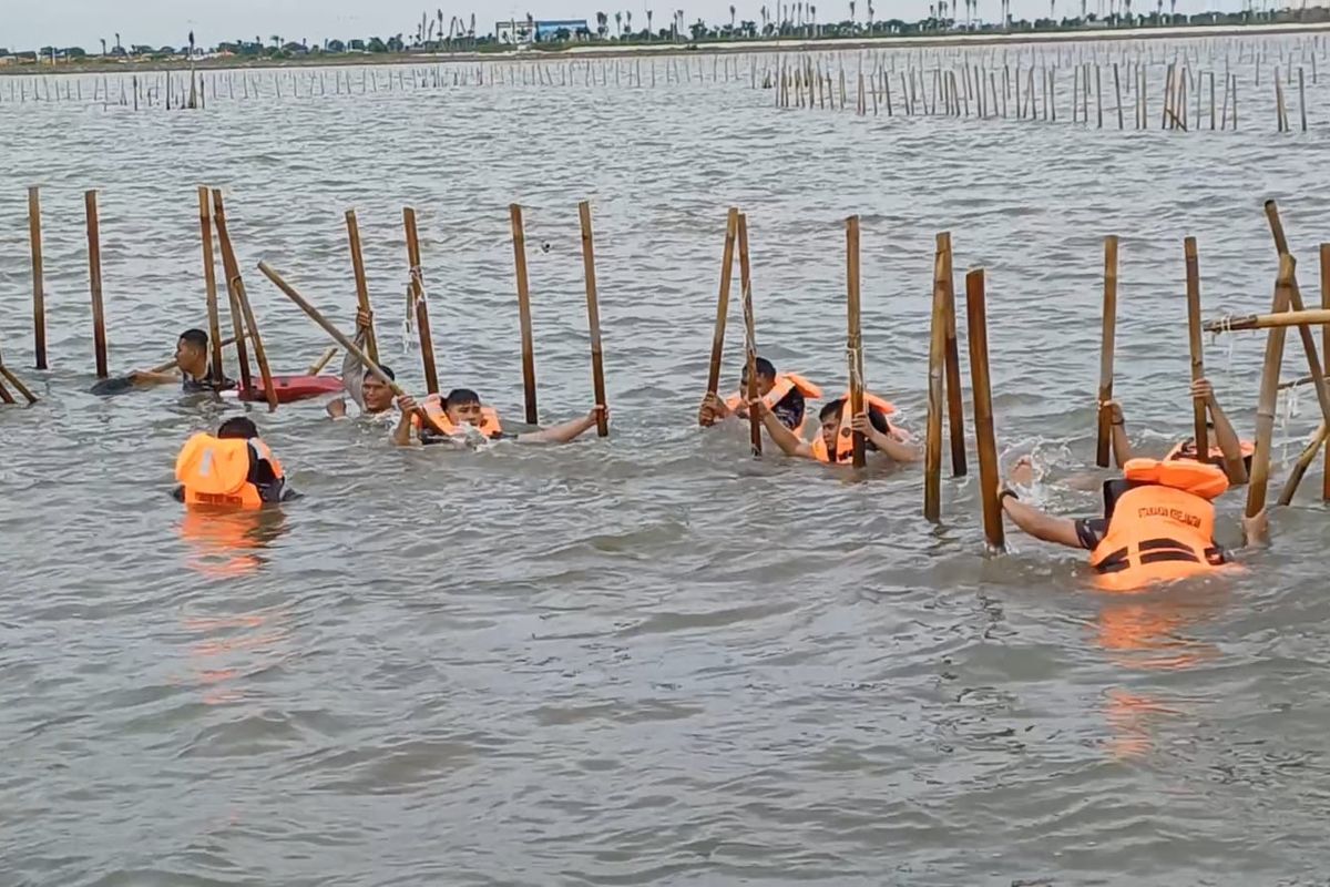 Pembongkaran Pagar Laut di Tanjung Pasir